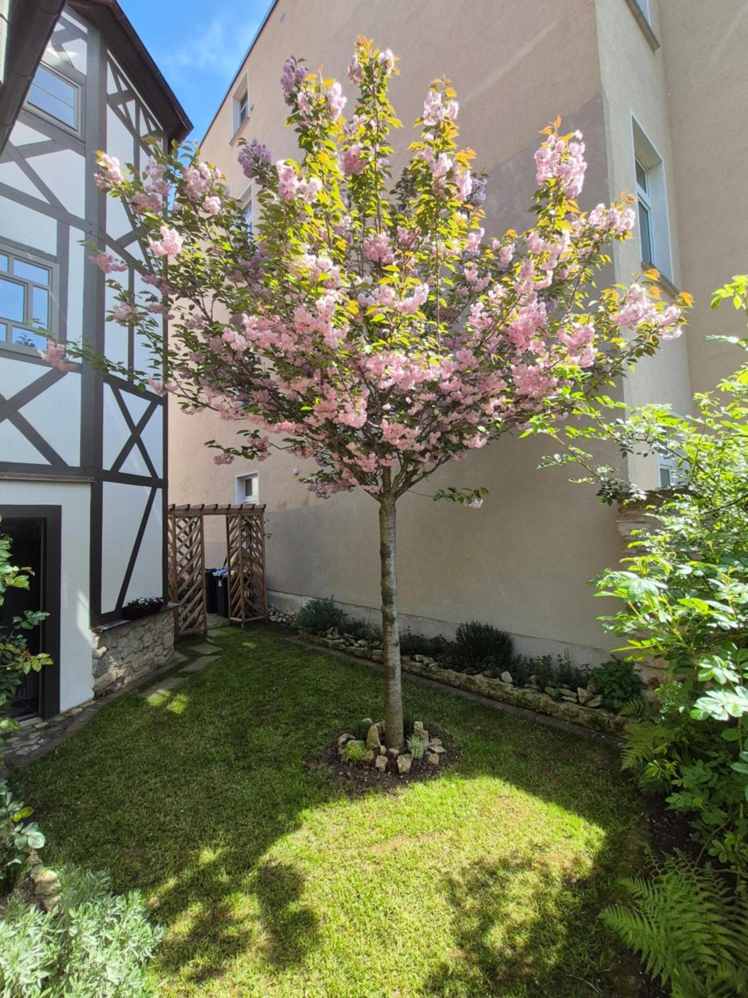 Aussergewoehnliches, Historisches, Spaetgotisches Wohnhaus Von 1519, Gries 5 게라 외부 사진